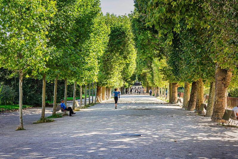 304 - Jardins Des Plantes -paris 5 - Flat-guest Apartment